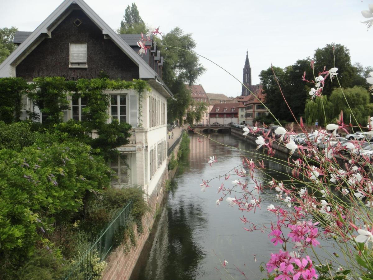 Gite Le Petit Moulin Rosenwiller Ngoại thất bức ảnh
