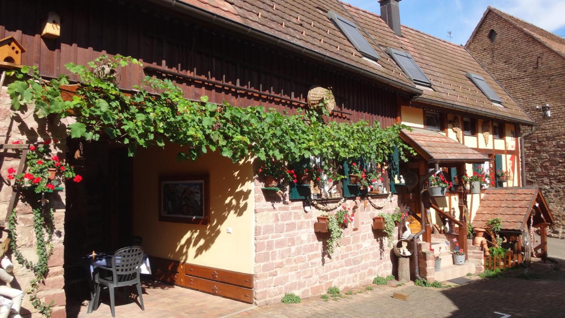 Gite Le Petit Moulin Rosenwiller Ngoại thất bức ảnh