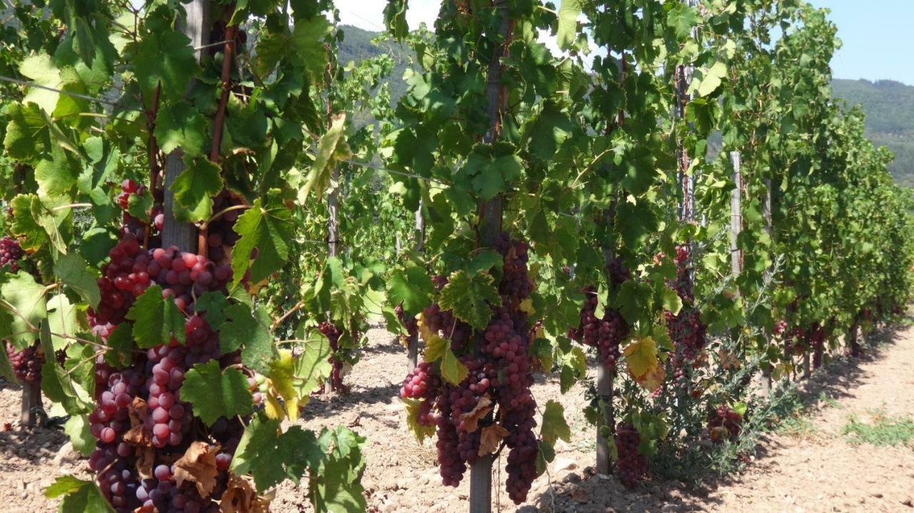 Gite Le Petit Moulin Rosenwiller Ngoại thất bức ảnh